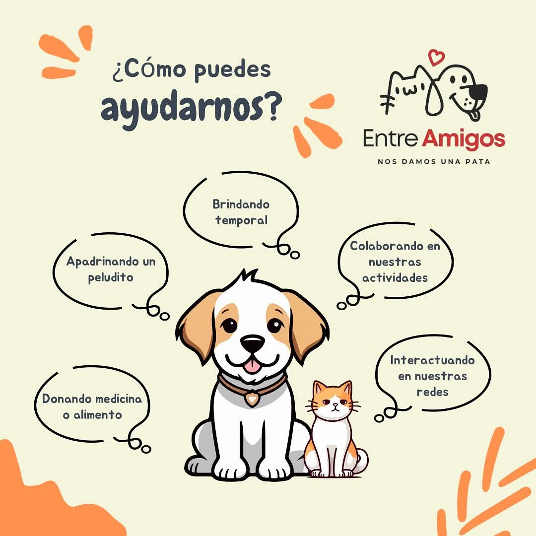 Cómo ayudar a Entre Amigos